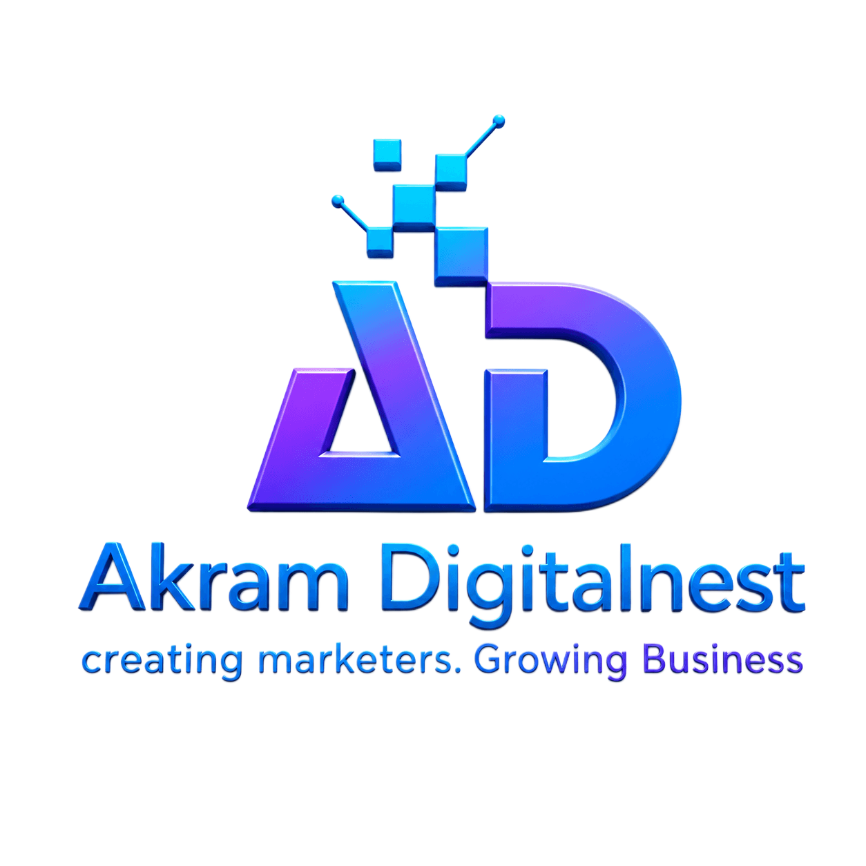 akramdigitalnest.in